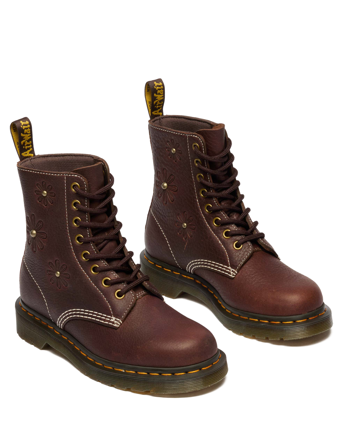 #color_dark-brown