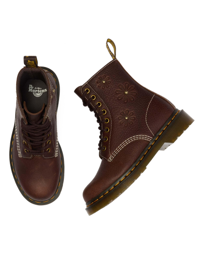 #color_dark-brown