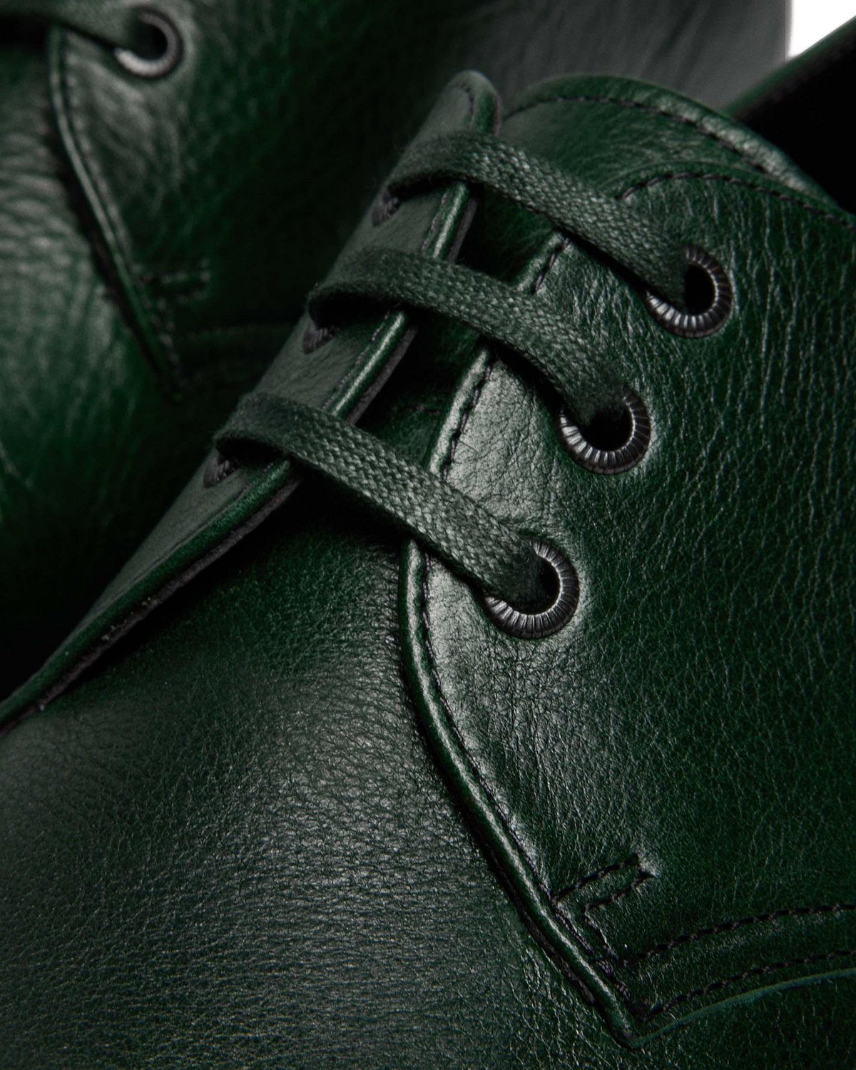 #color_dms-green