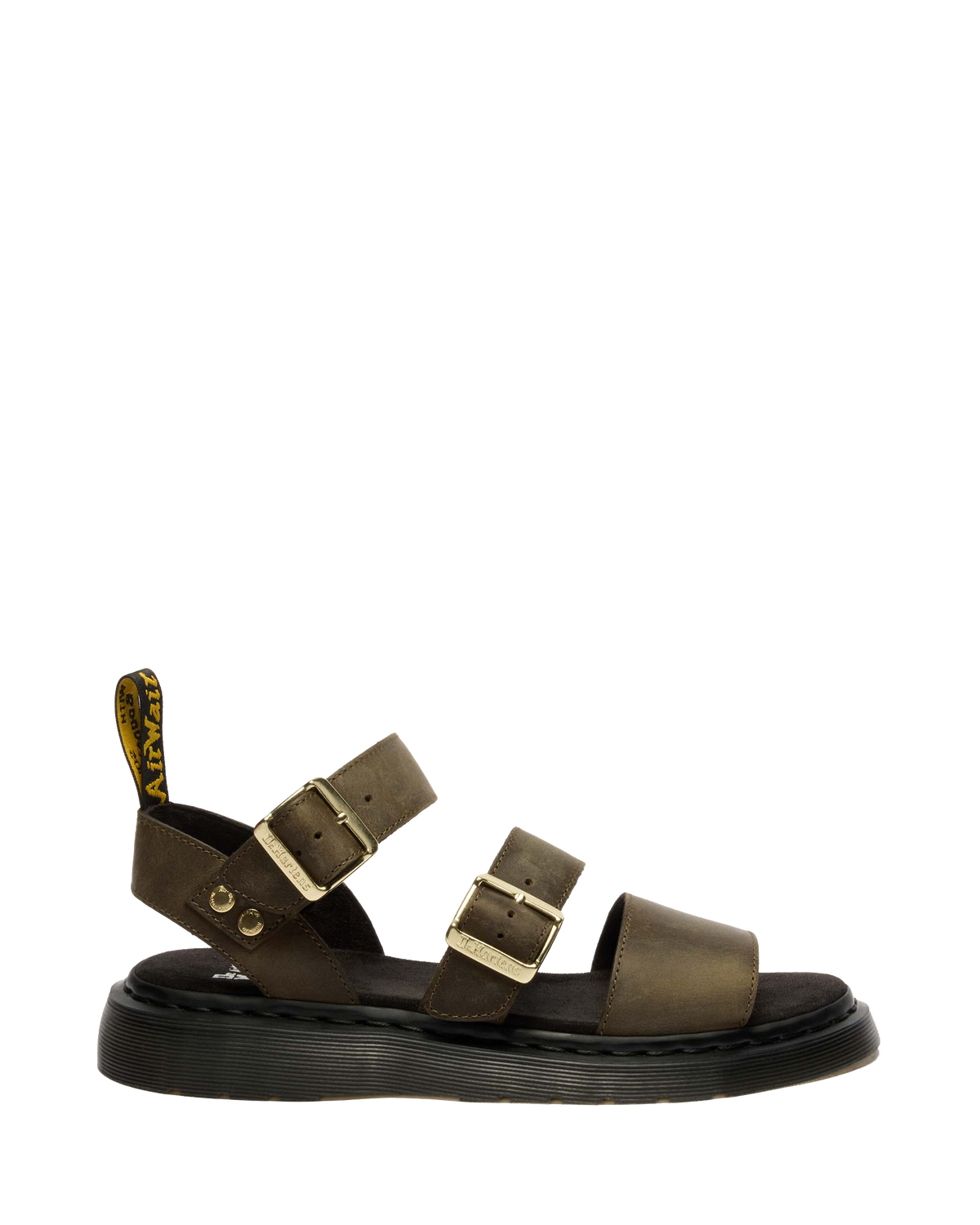 #color_dms-olive