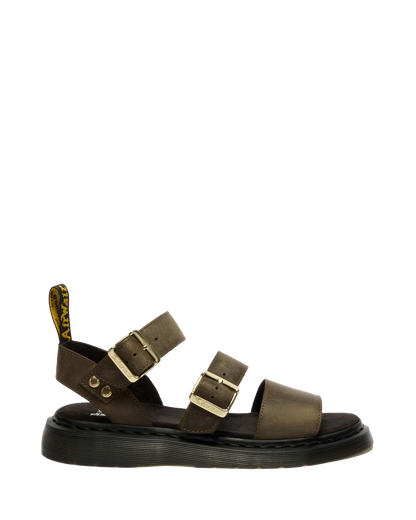 #color_dms-olive
