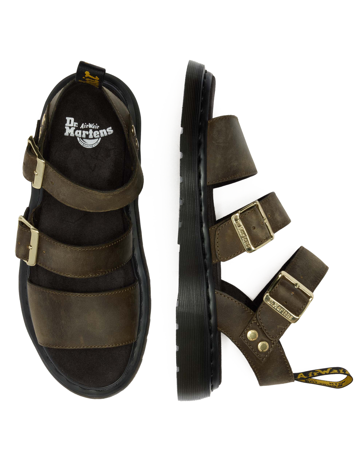 #color_dms-olive