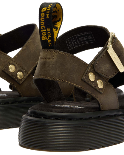 #color_dms-olive