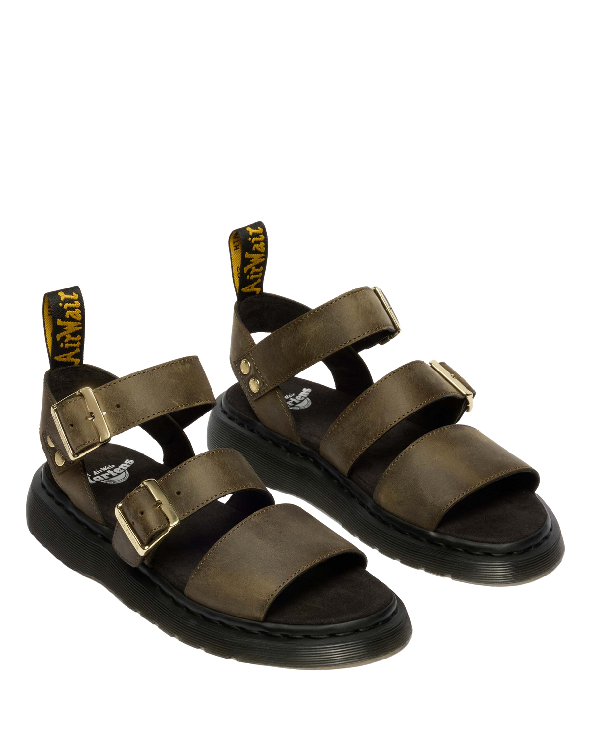 #color_dms-olive