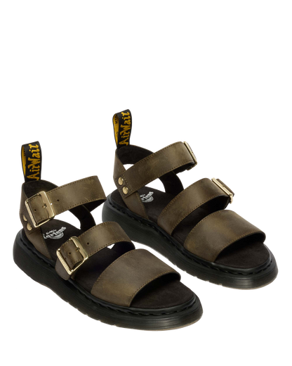 #color_dms-olive