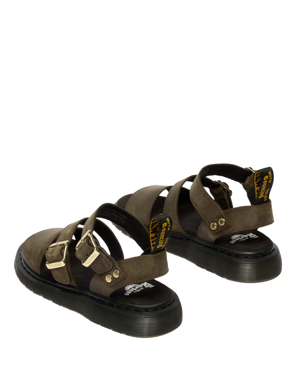 #color_dms-olive