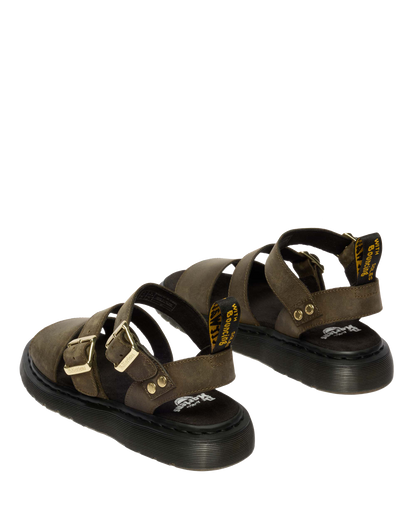 #color_dms-olive