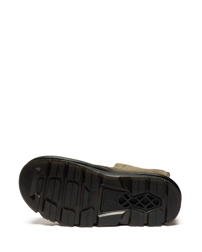 #color_dms-olive