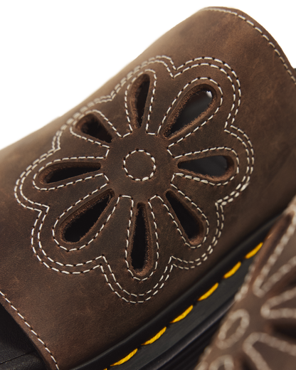 #color_dark-brown