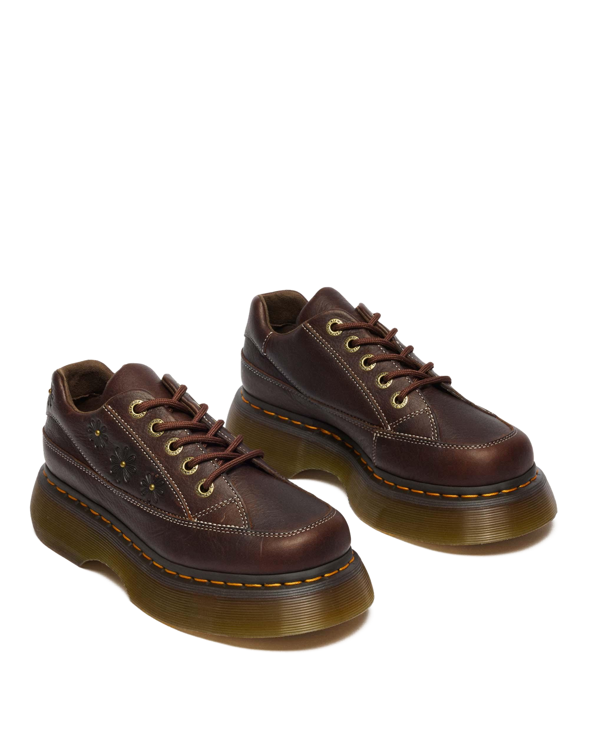 #color_dark-brown