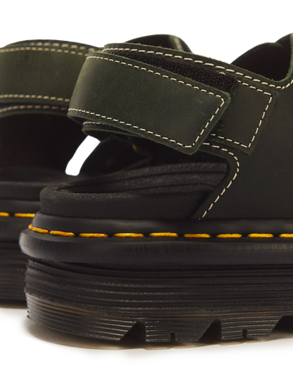 #color_dms-green
