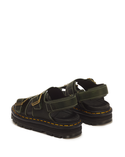 #color_dms-green