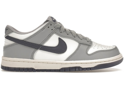 Nike Dunk Low Platinum Tint Light Carbon (Gs)