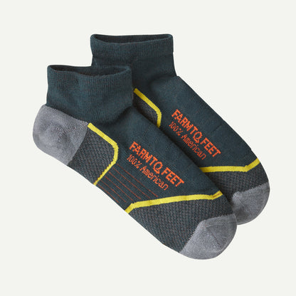 Patagonia Farm To Feet® Damascus Light Targeted Cushion Low Socks
