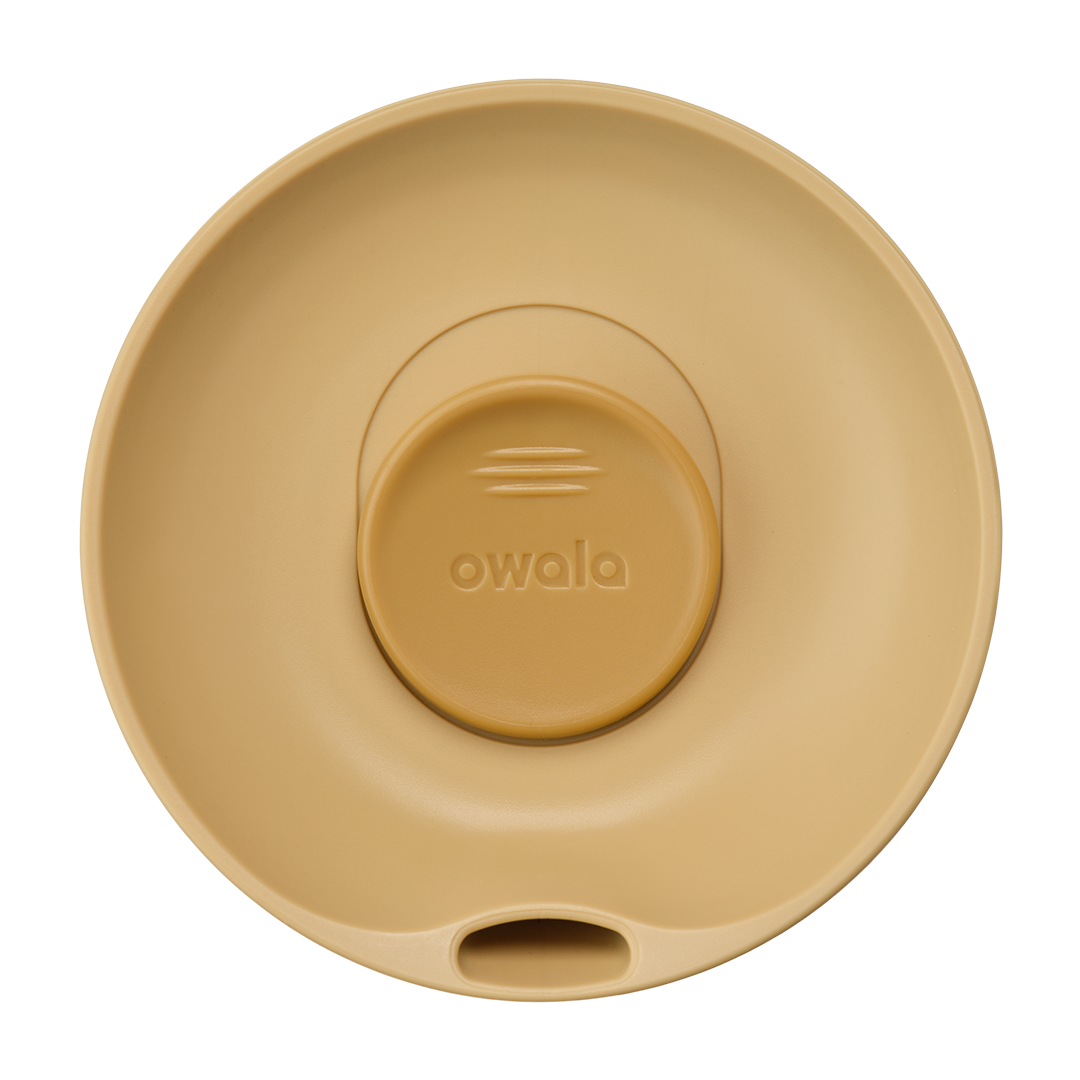  Owala Smoothsip Slider Autumn Vista