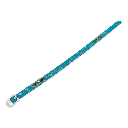 #color_turquoise