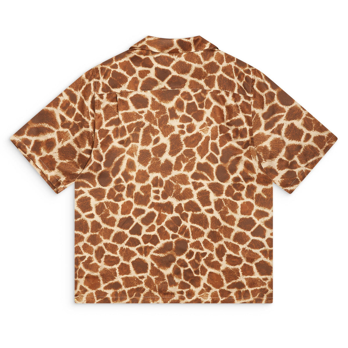 #color_realistic-giraffe