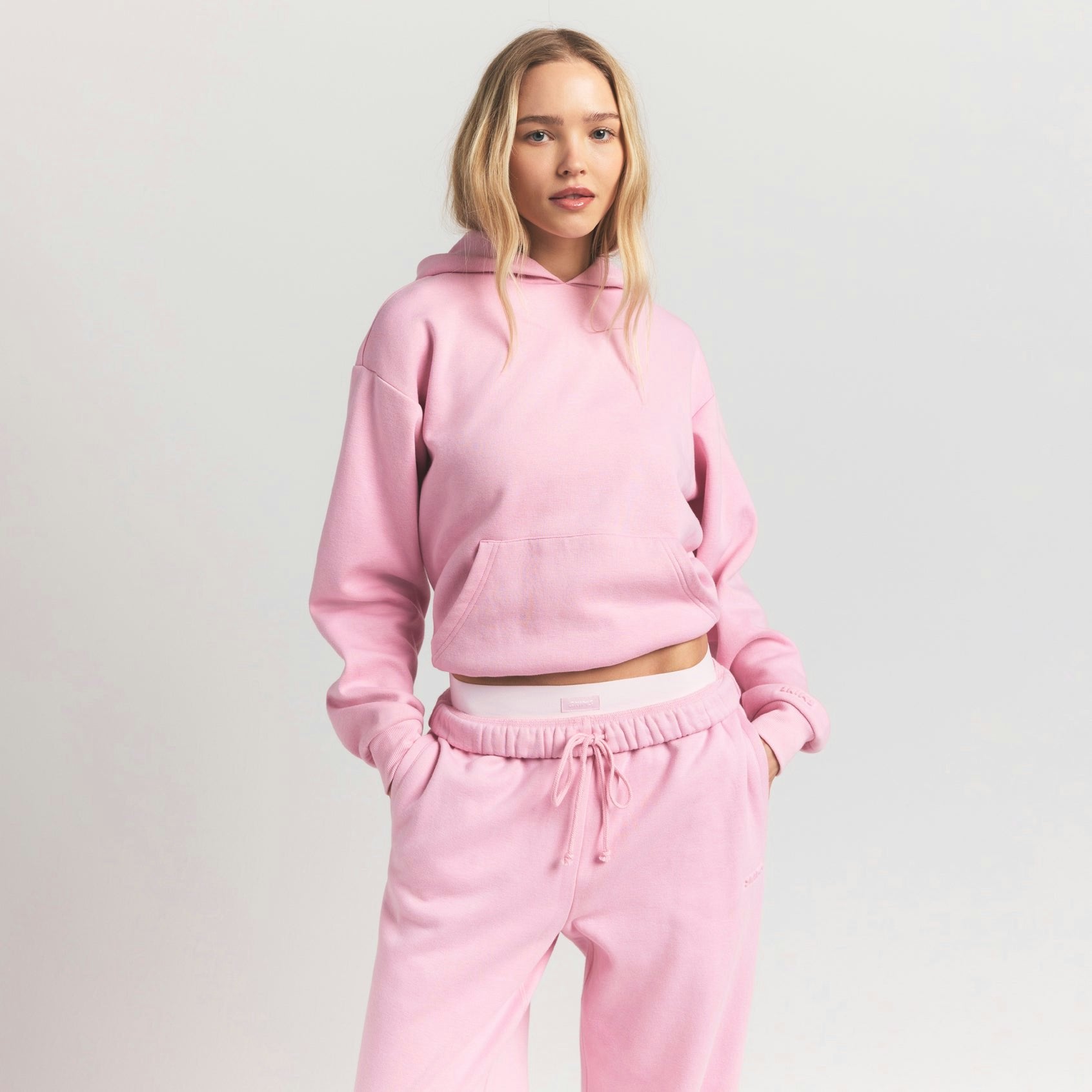 Skims Cotton Fleece Classic Hoodie Halite