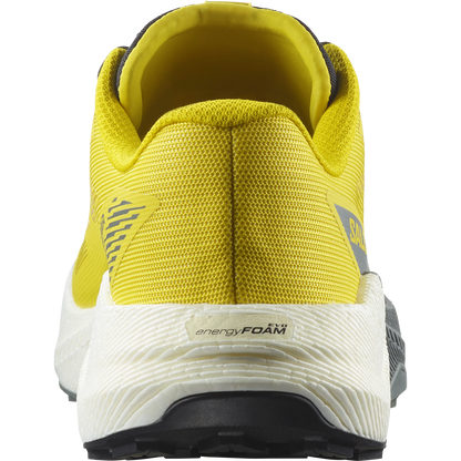 Salomon Pulsar Trail Running Incaberry