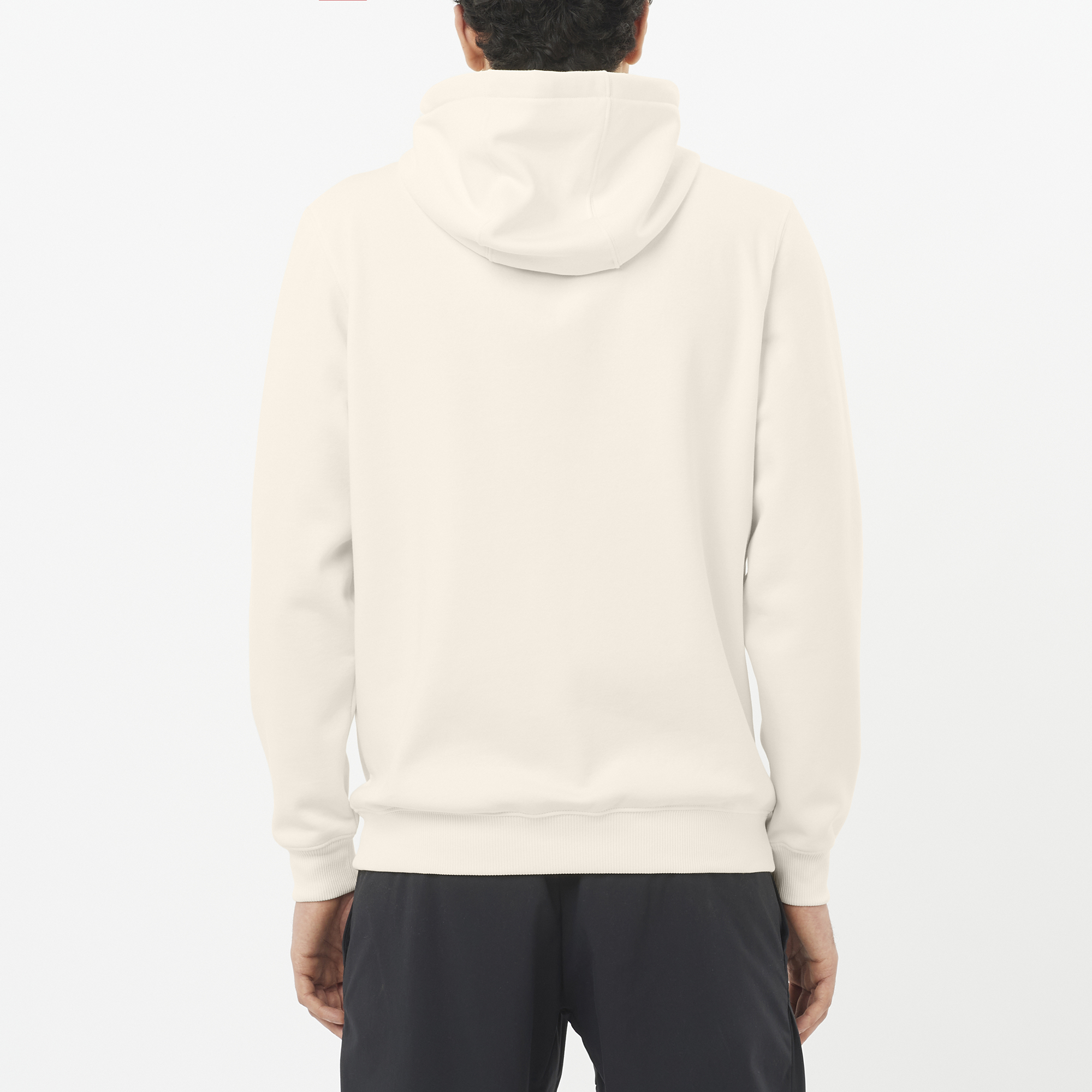 Salomon Logo Hooded Sweatshirt