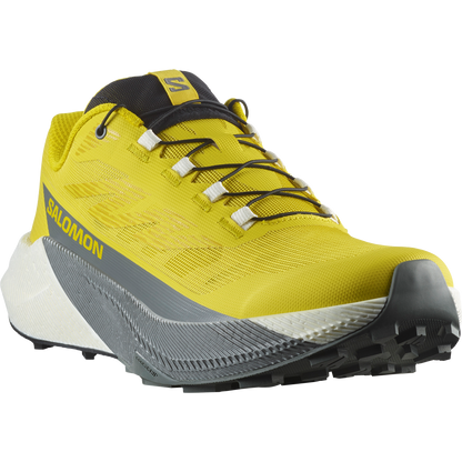 Salomon Pulsar Trail Running Shoes Incaberry