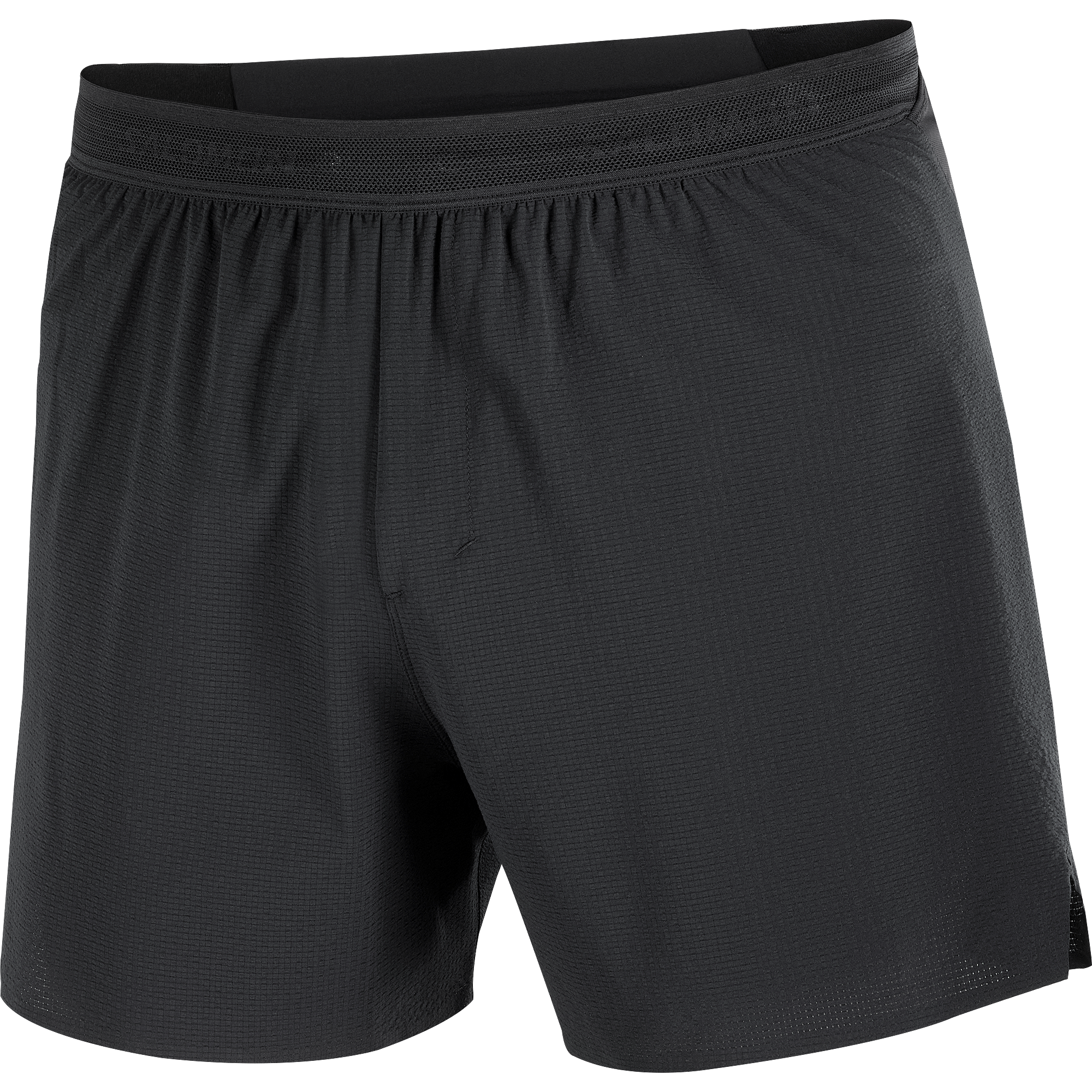 Salomon Sense Aero Stow 5" Shorts