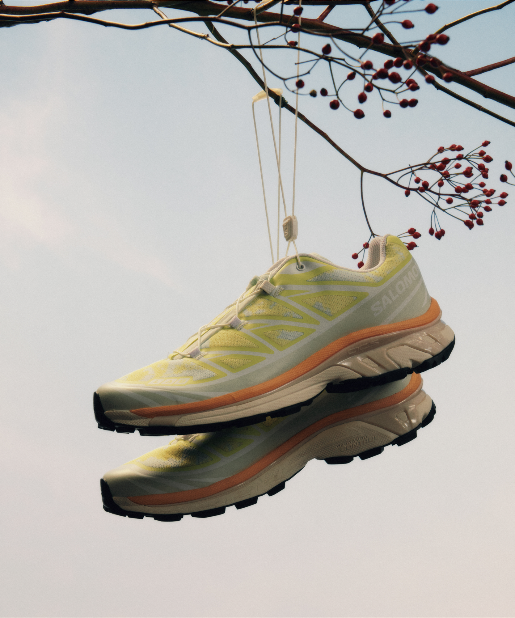 Salomon Xt-6 Alpen Blossom Sneakers Ice Flow