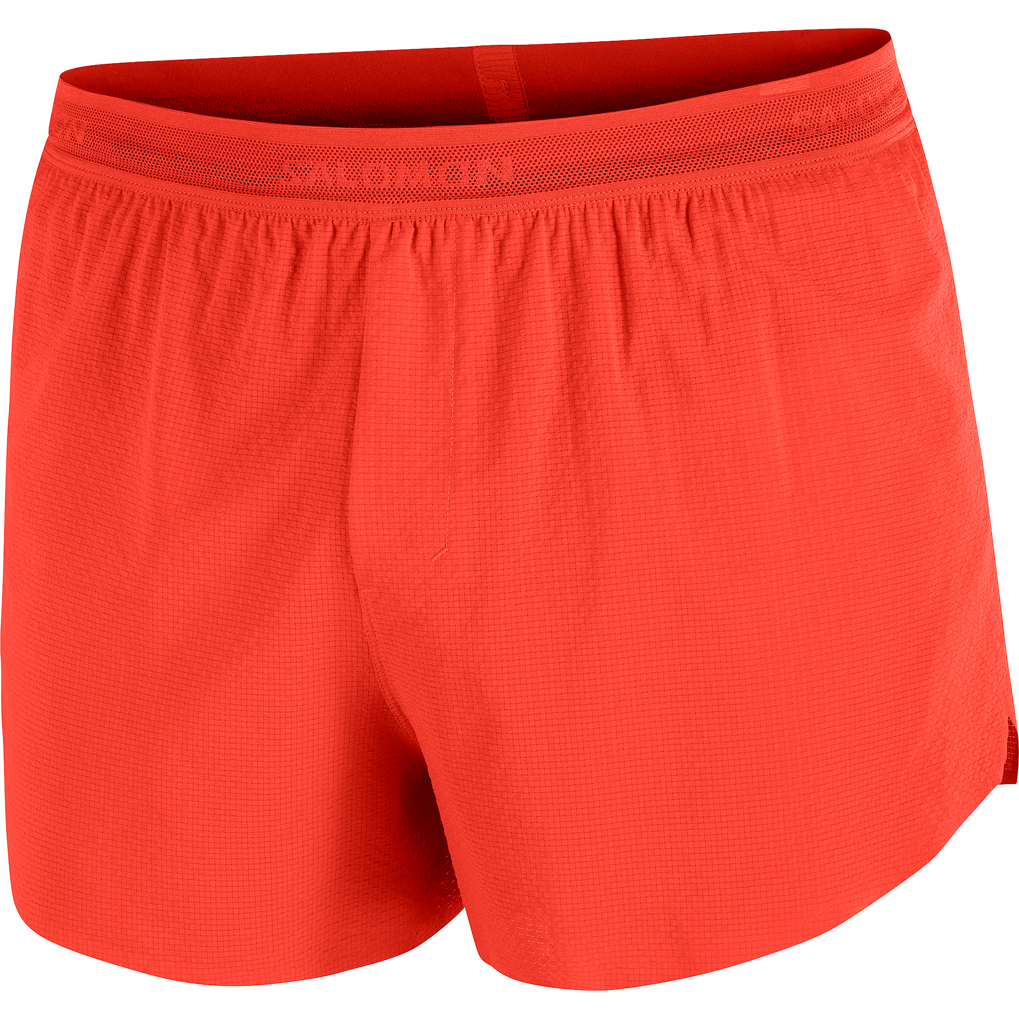 Salomon Sense Aero Split 3" Shorts