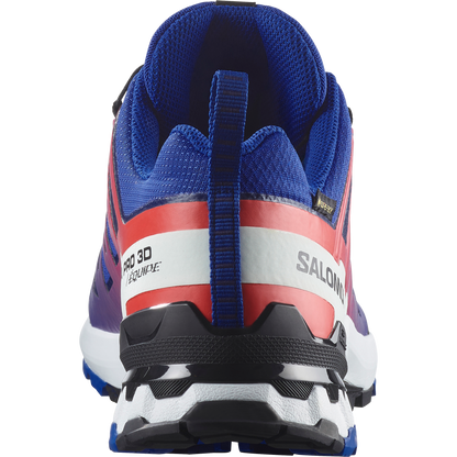 Salomon Xa Pro 3D V9 Gore-Tex Equipe Trail Running Surf The Web