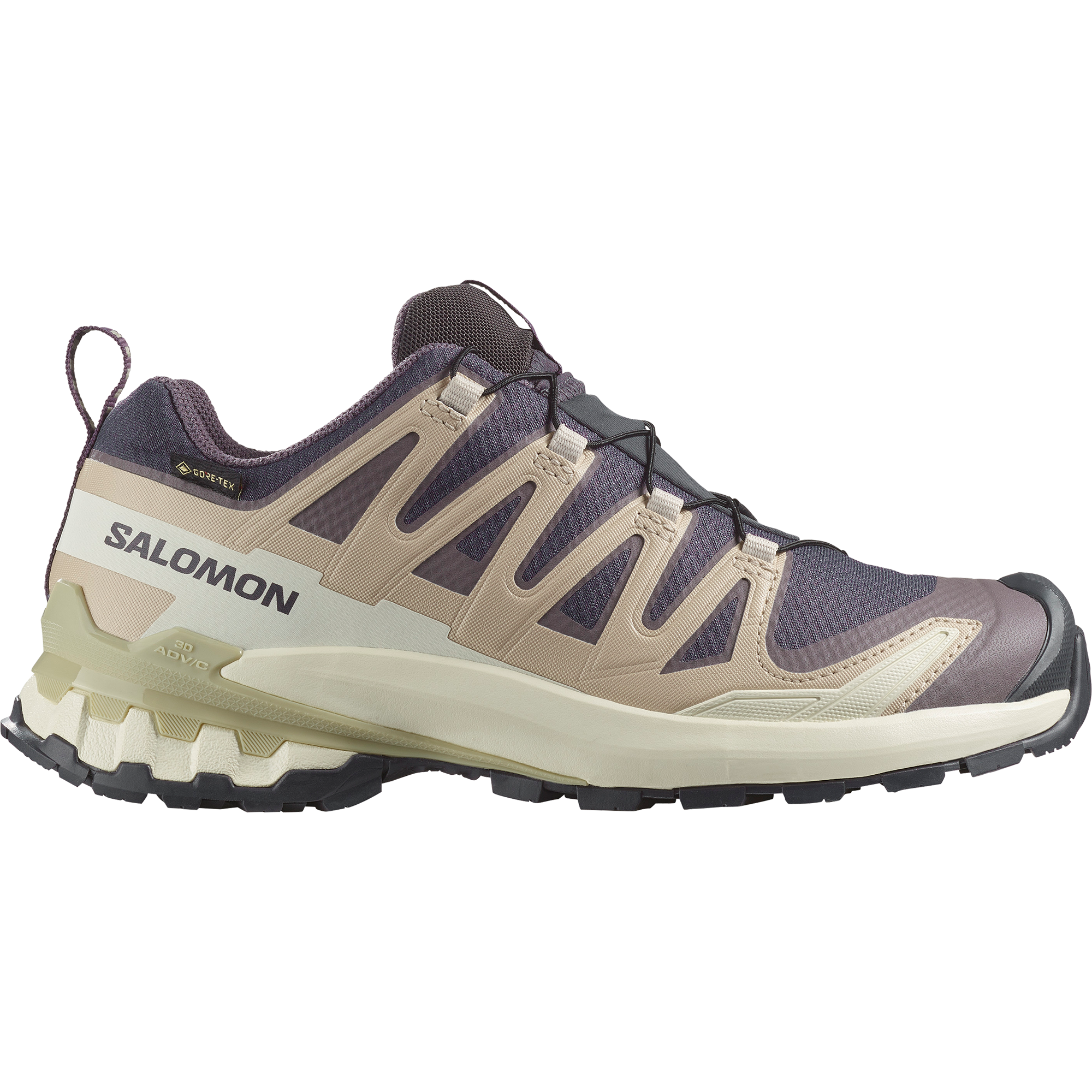 Salomon Xa Pro 3D V9 Gore-Tex Trail Running Shoes Womens Nine Iron