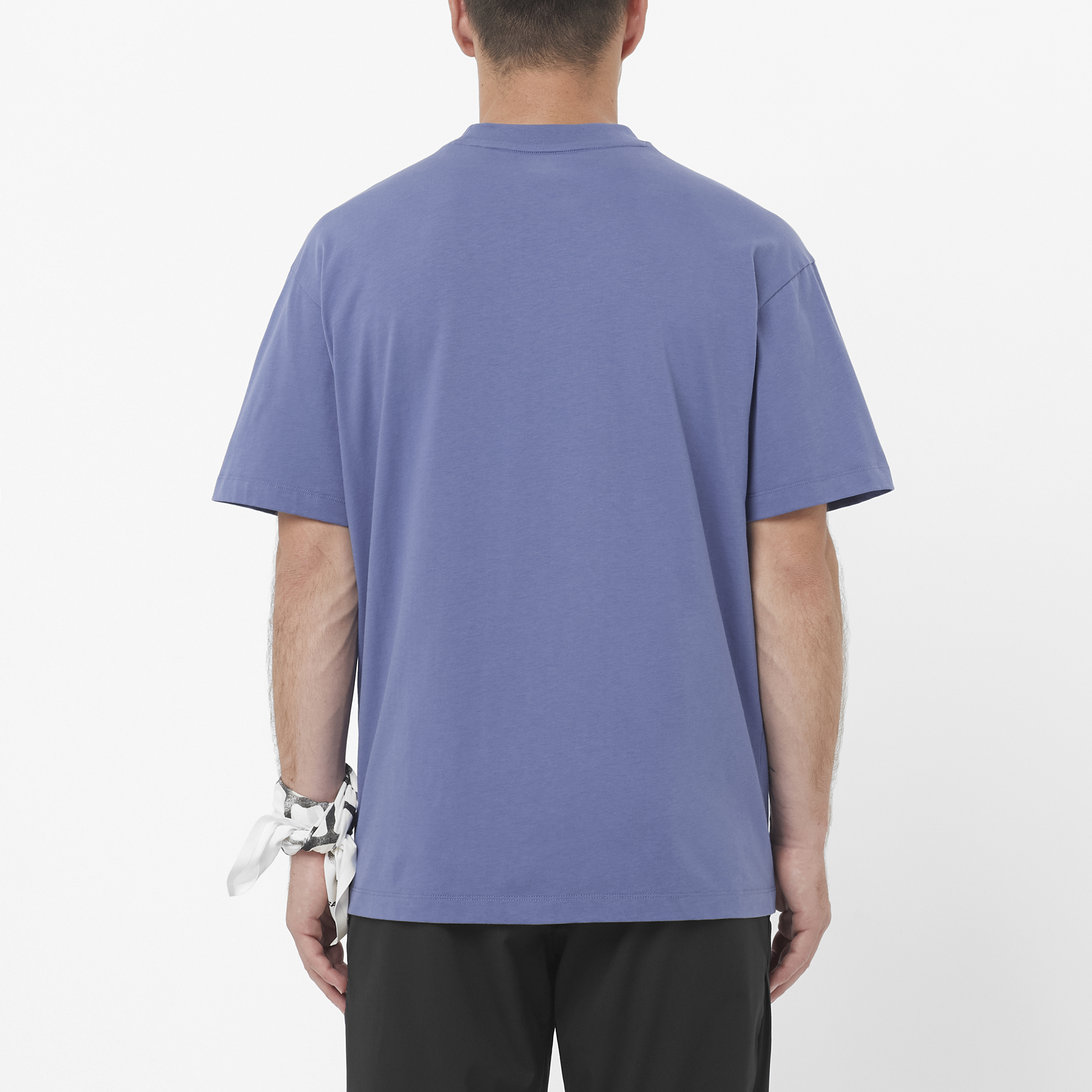 Salomon Wild Rays Label Short Sleeve T-Shirt