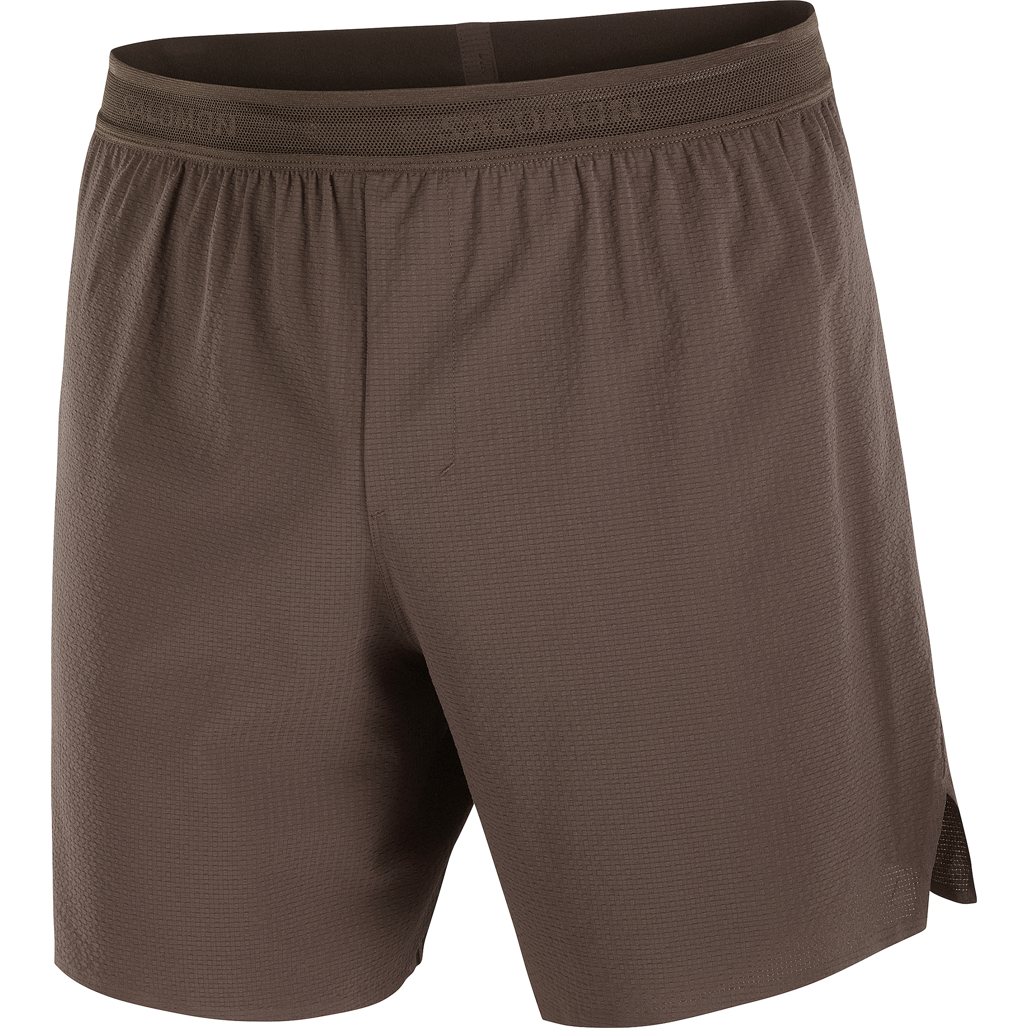Salomon Sense Aero 7" Shorts