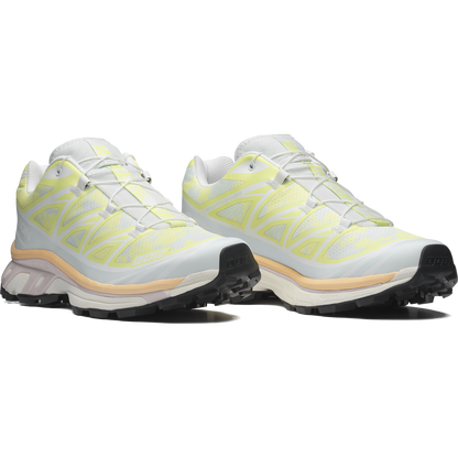 Salomon Xt-6 Alpen Blossom Sneakers Ice Flow