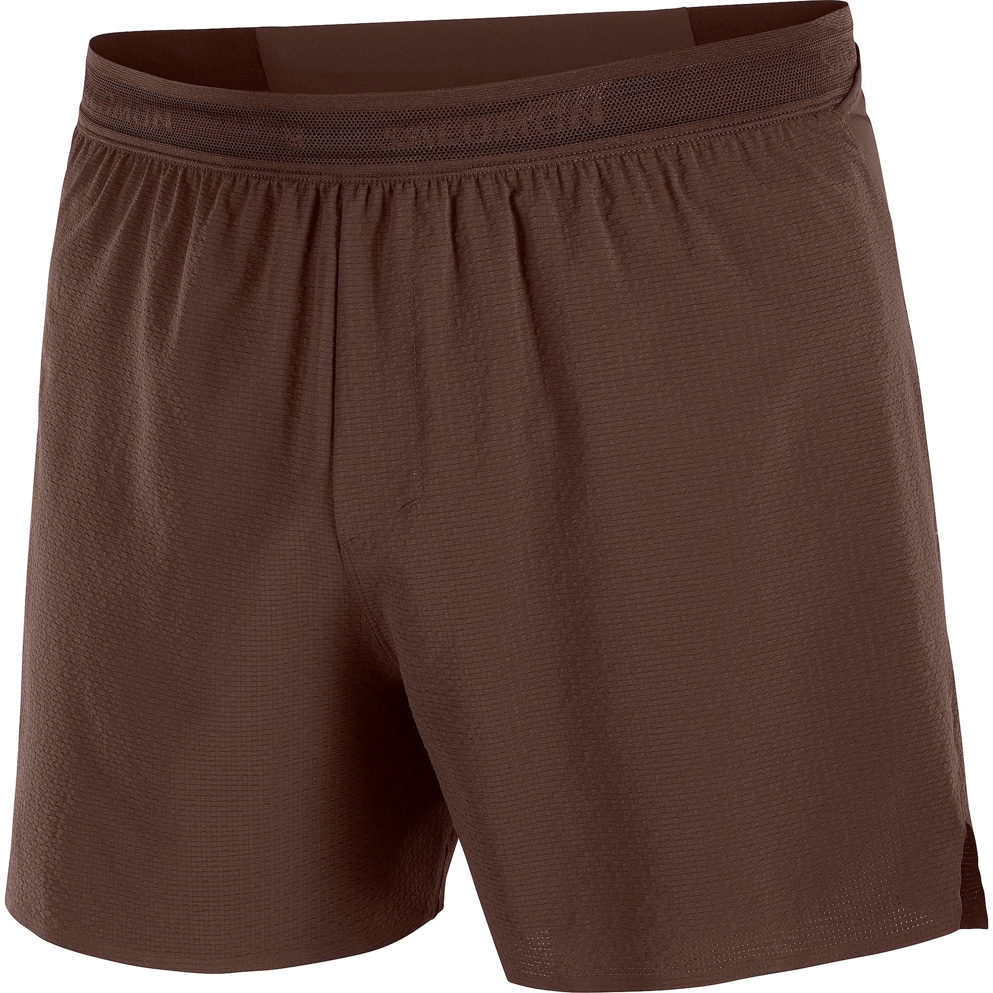 Salomon Sense Aero Stow 5" Shorts