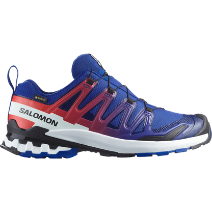Salomon Xa Pro 3D V9 Gore-Tex Equipe Trail Running Surf The Web