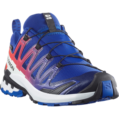Salomon Xa Pro 3D V9 Gore-Tex Equipe Trail Running Surf The Web