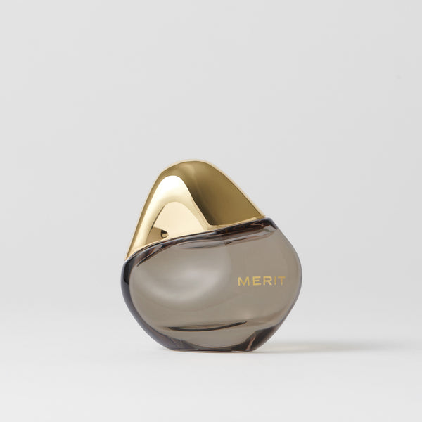 Merit Retrospect