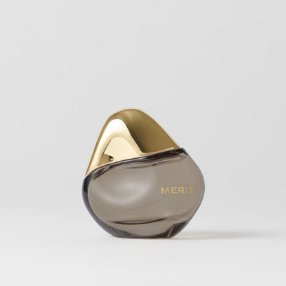 Merit Retrospect
