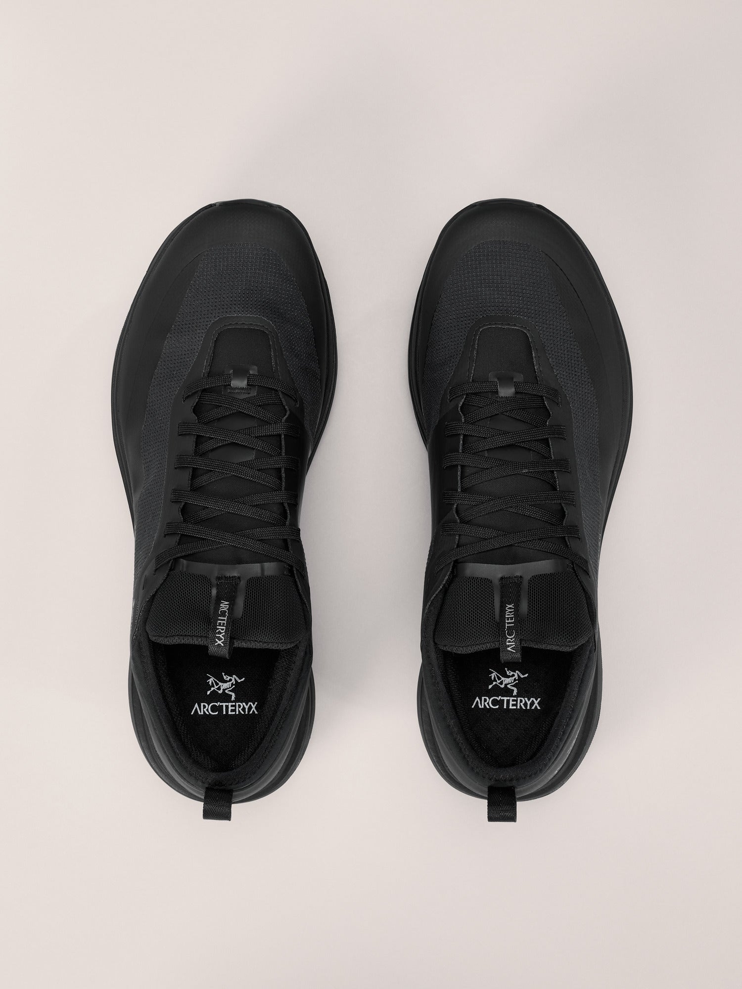 Arcteryx Outlet Sylan Gtx Shoe Mens Black