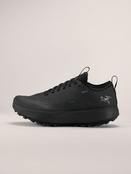 Arcteryx Outlet Sylan Gtx Shoe Mens Black