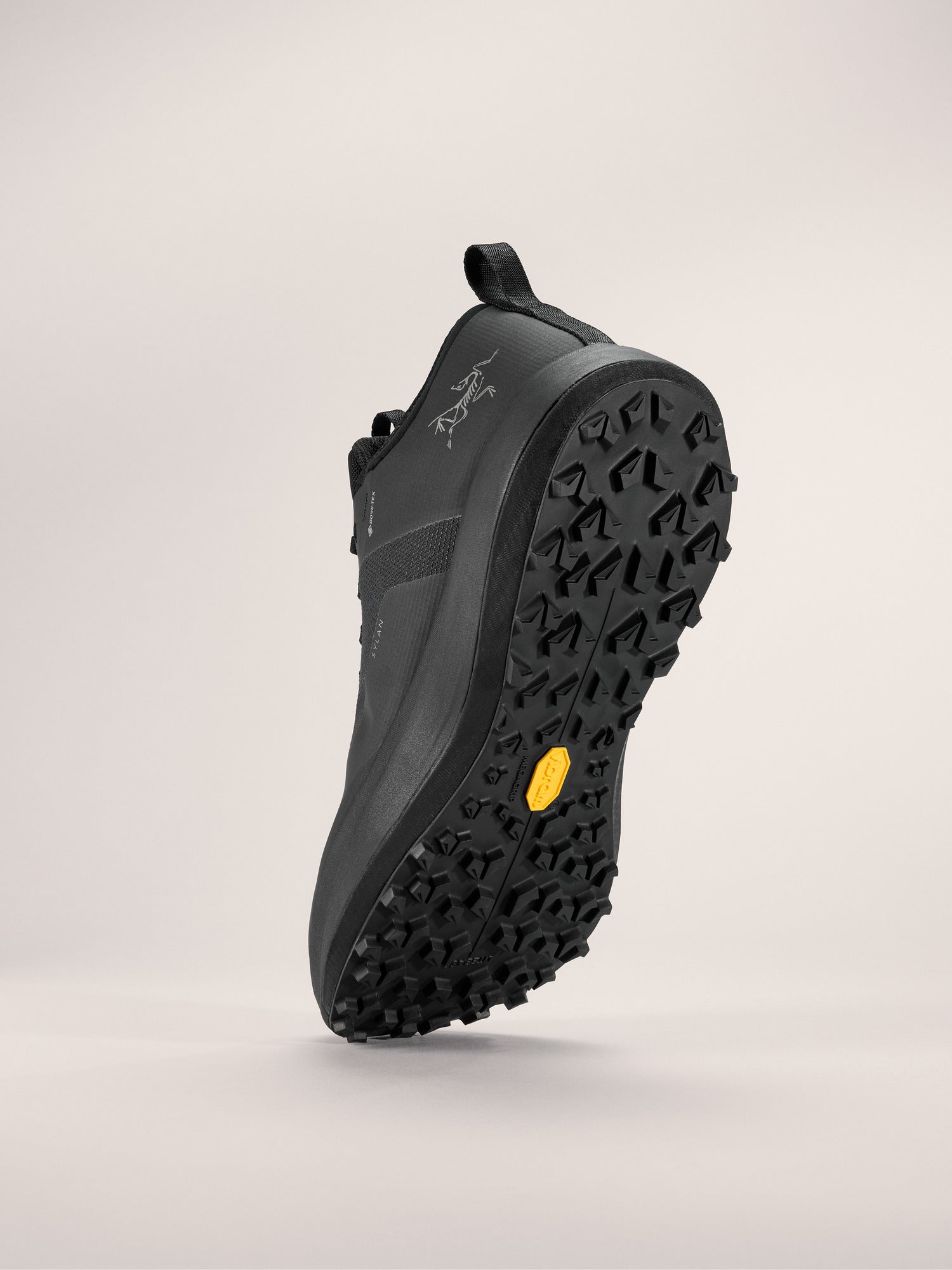 Arcteryx Outlet Sylan Gtx Shoe Mens Black
