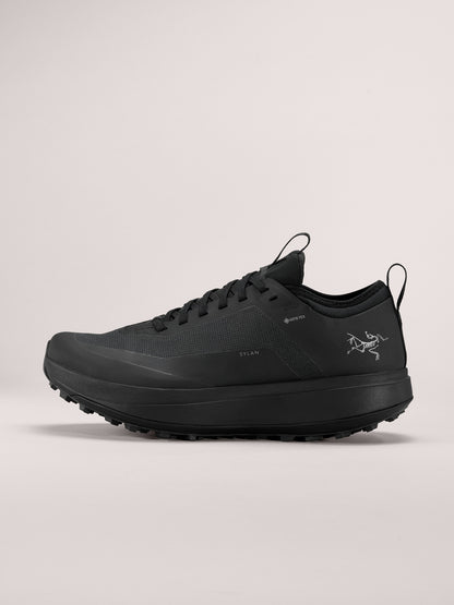 Arcteryx Outlet Sylan Gtx Shoe Womens Black