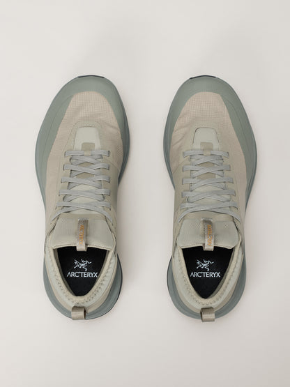 Arcteryx Outlet Sylan Gtx Shoe Womens Lt Forage Forage