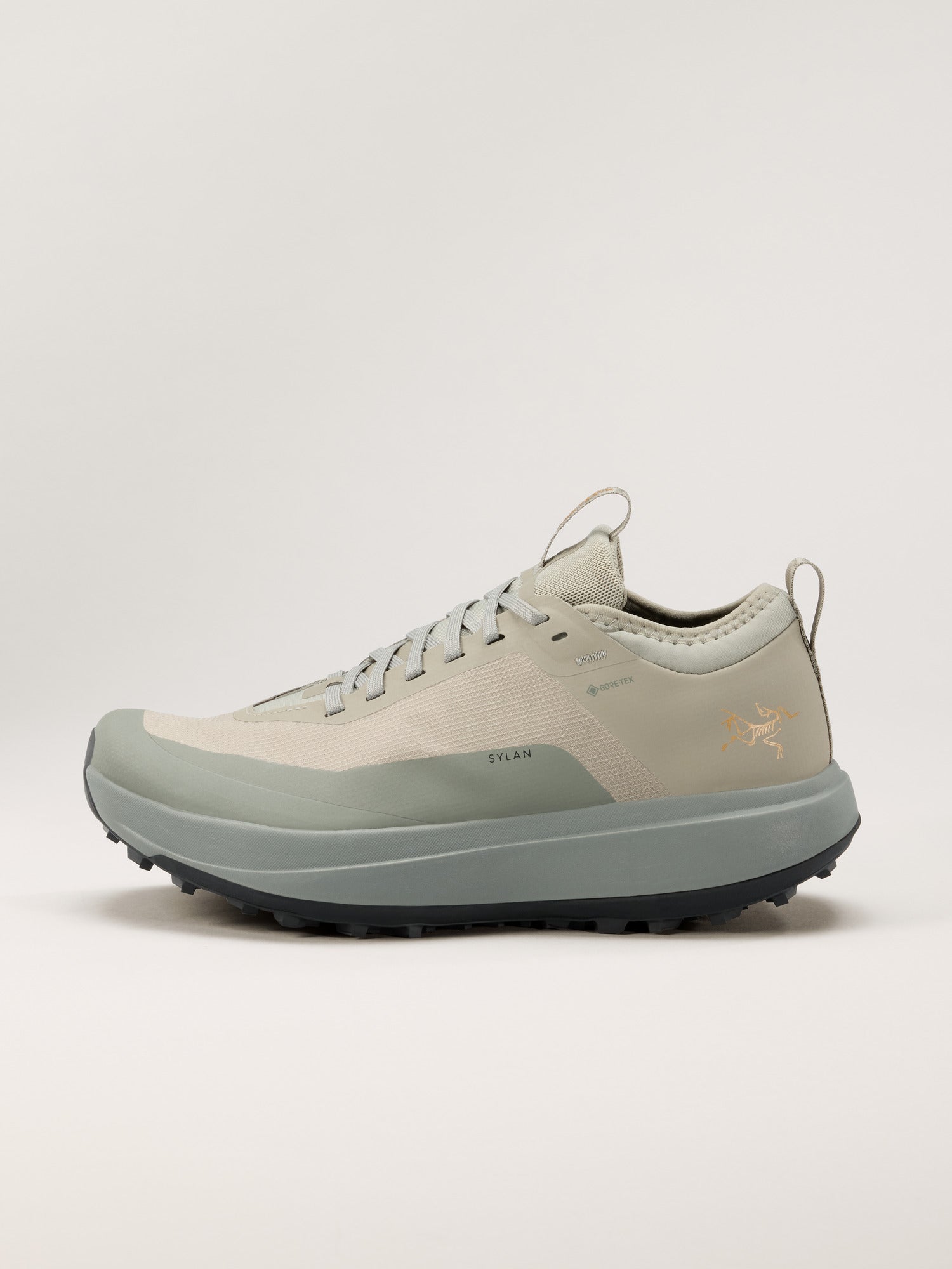 Arcteryx Outlet Sylan Gtx Shoe Womens Lt Forage Forage