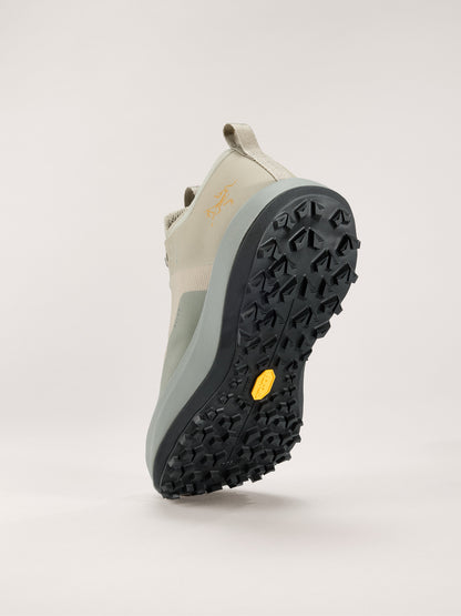 Arcteryx Outlet Sylan Gtx Shoe Womens Lt Forage Forage