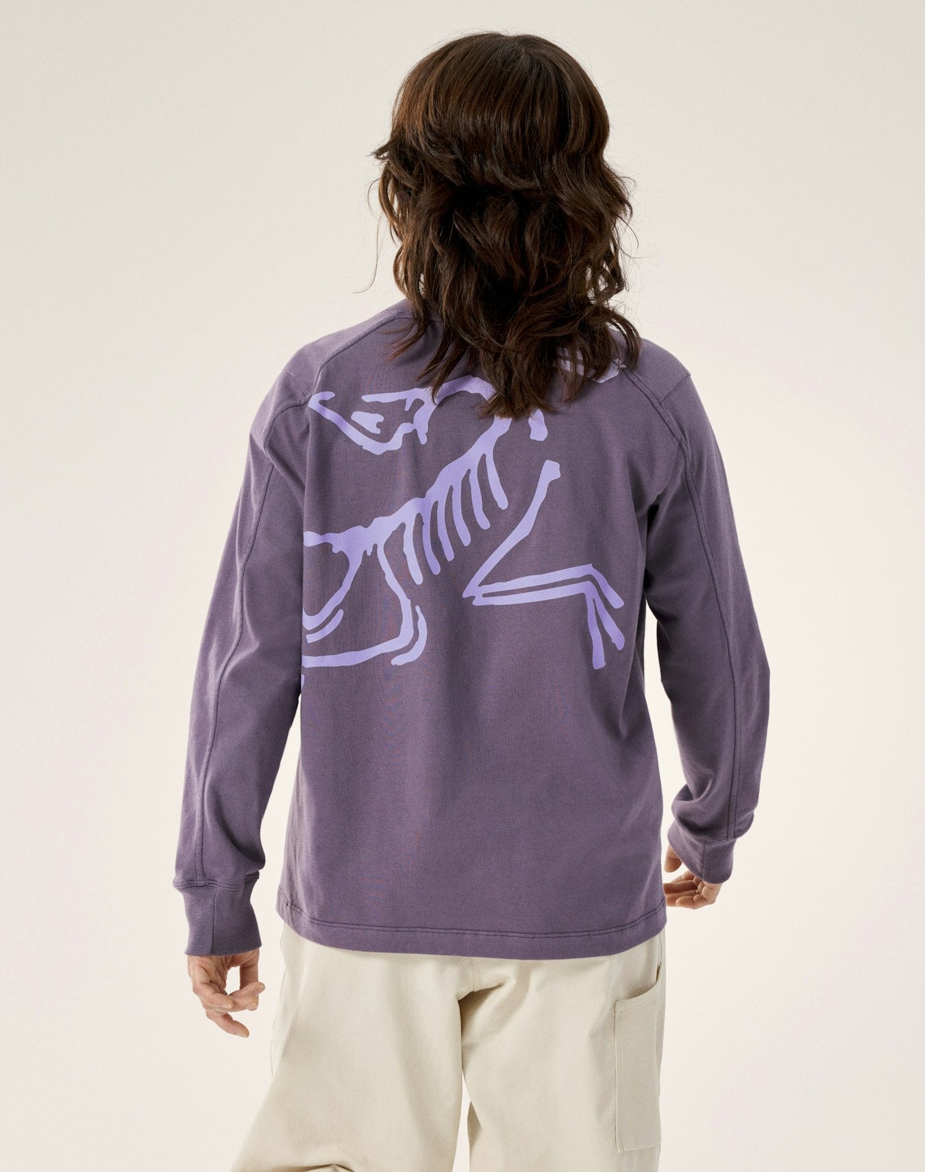 Arc'teryx Kragg Cotton Bird Crew Neck Shirt LS Women's - Lt Moondrop