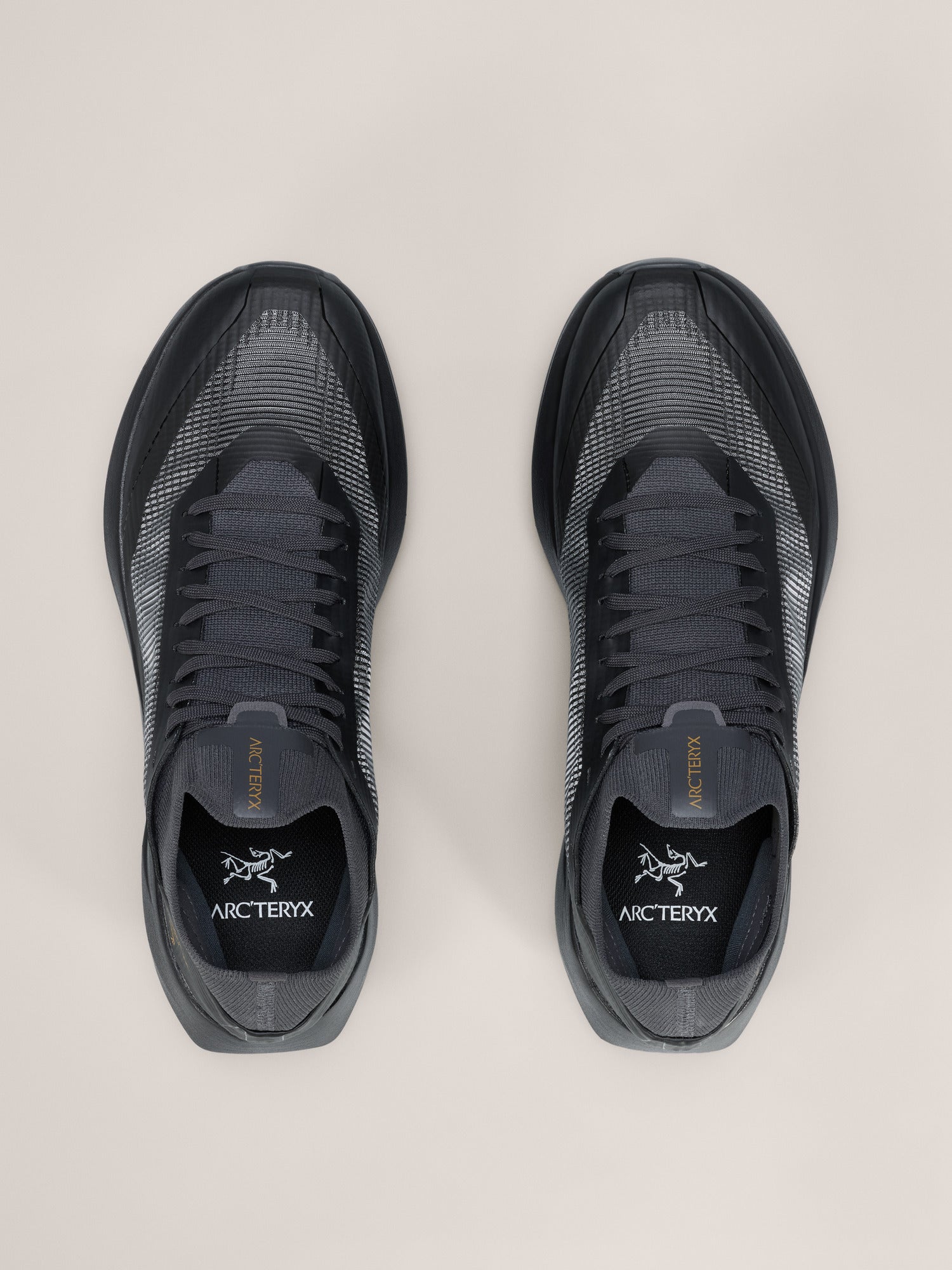 Arcteryx Sylan 2 Shoe Womens Black