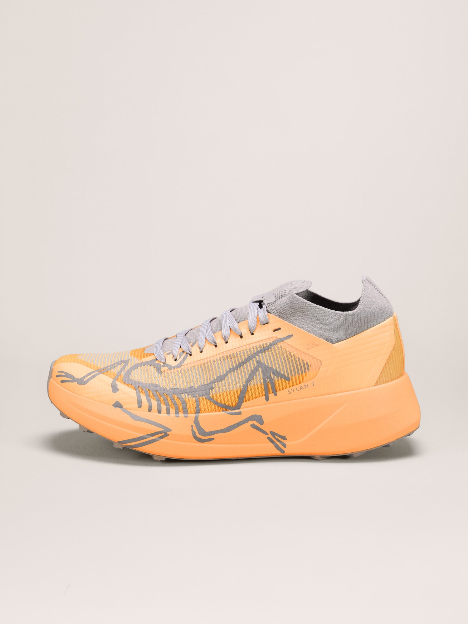 Arcteryx Sylan 2 Shoe Womens Luminary