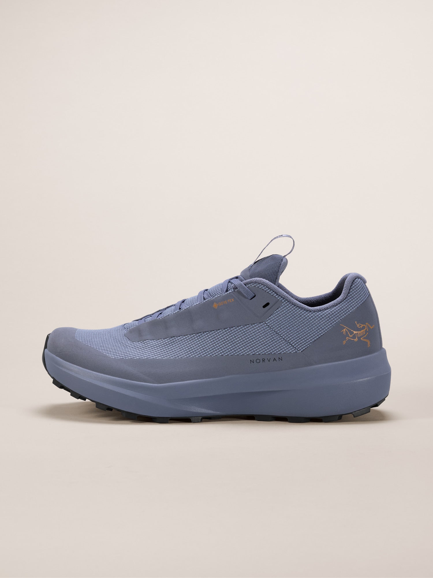 Arcteryx Outlet Norvan Ld 4 Gtx Shoe Womens Stratus