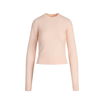 Skims Sweater Knits Ribbed Long Sleeve Fitted Crew Neck Primrose